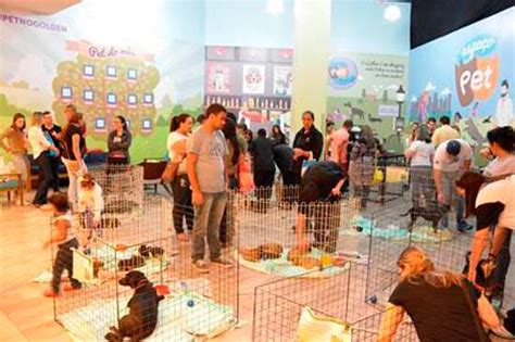 Golden Square Shopping Realiza Feira De Ado O De Animais