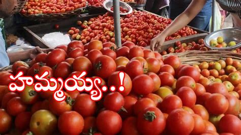 Tomato Price In Hyderabad సామాన్యుడికి ఊరట దిగొస్తున్న టమాటా ధరలు