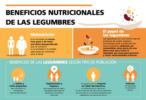 Propiedades beneficios y cómo cocinar legumbres Blog Sedovin