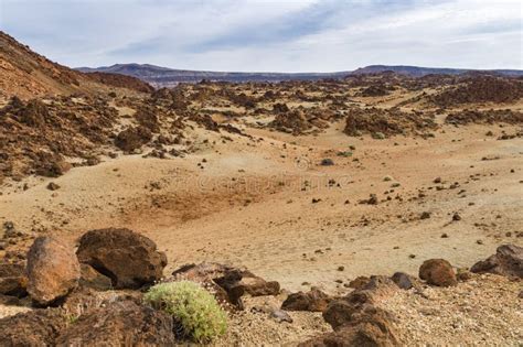 Landscape With Sparse Vegetation At Red Canyon Tourist Destination