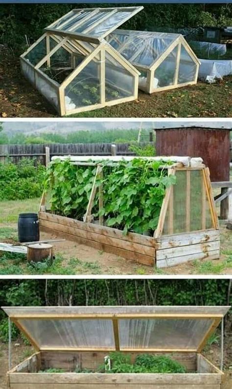 Best Diy Greenhouses Great Tutorials Plans Artofit