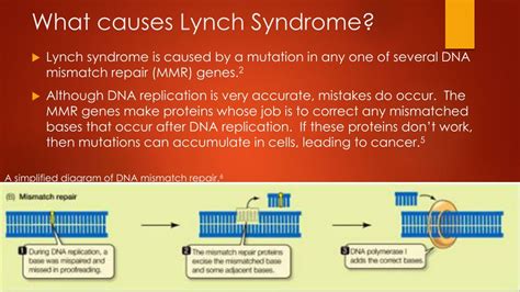 Ppt Lynch Syndrome Powerpoint Presentation Free Download Id884026