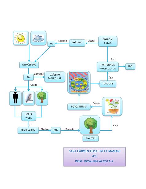 El Ciclo Del Ox Geno Carmen Pdf