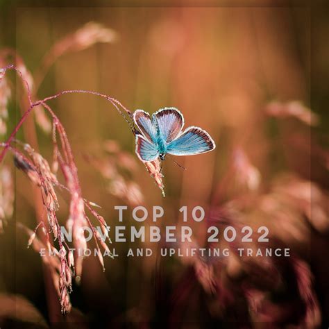 ‎top 10 November 2022 Emotional And Uplifting Trance Album By Various