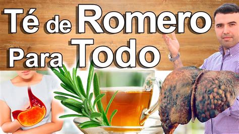 T De Romero Para Todo Para Qu Sirve Beneficios Para Tu Salud Y