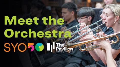 Play At The Pavilion Meet The Orchestra Sydney Youth Orchestras