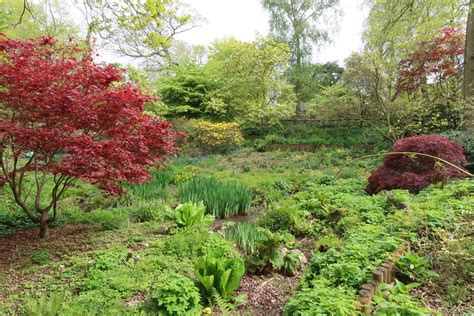 Golders Hill Park London Macp Flickr