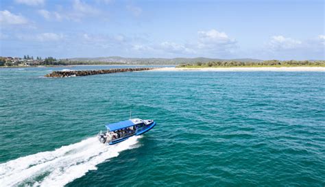 Best 2hr Cruise Whale Watching From Lake Macquarie