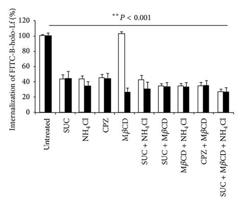 B Holo Lf Is Primarily Endocytosed Via Clathrin Coated Vesicles In Both Download Scientific