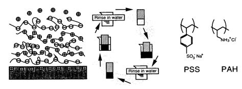 Left: Schematic molecular representation of polyelectrolyte ...