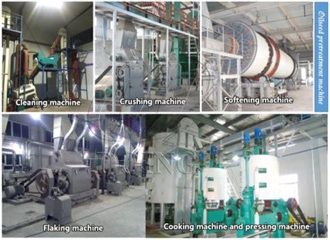 Why Oilseed Pretreatment Machines Are Necessary In Cooking Oil