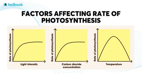 Factors Affecting Photosynthesis Know Blackmans Principle