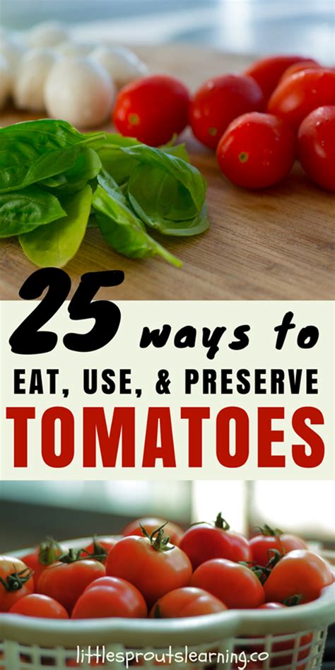 25 Ways To Use Excess Tomatoes From The Garden Tomato Garden Tomato