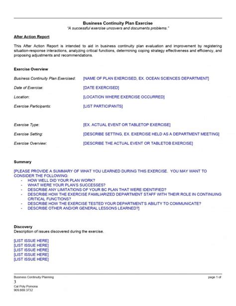 Printable Simple After Action Report Template Excel Example Tacitproject