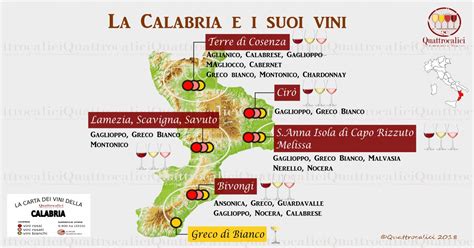 Il Vino In Calabria Quattrocalici Le Regioni Del Vino