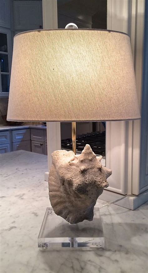 The Patricia Collection Conch Shell Table Lamp Lamp Shell Lamp