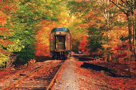 This Arkansas Train Ride Takes You Through Beautiful Fall Foliage