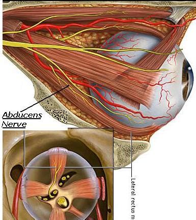 Science Natural Phenomena Medicine 2011