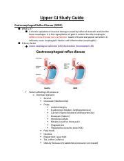 Upper Gi Study Guide Docx Upper Gi Study Guide Gastroesophageal