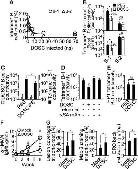 Figure 3 From HMGB1 Neutralizing IgM Antibody Is A Normal Component Of