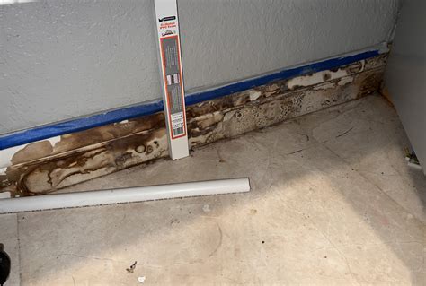 Mold Damage Insurance Claim