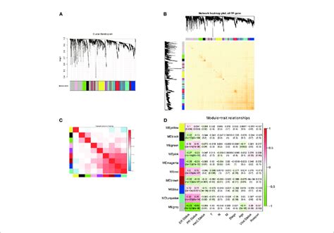 Construction Of The Wgcna For Tfs A Dendrogram Of The Genes