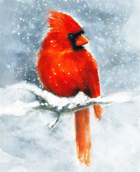 Cardinal Watercolor Art Print Winter Snow Red Bird Painting