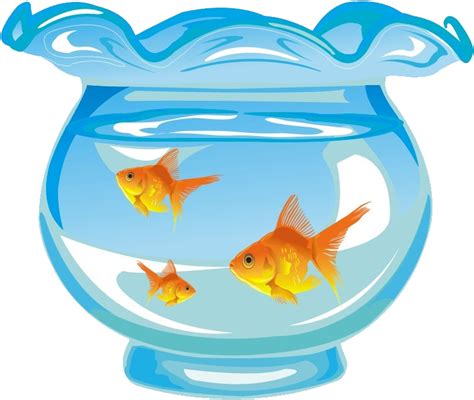 Aquarium Png Clipart - Full Size Clipart (#3566416) - PinClipart