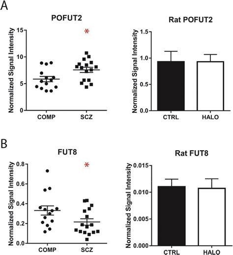 Protein Expression Of Fucosyltransferases POFUT2 And FUT8 Is Altered In