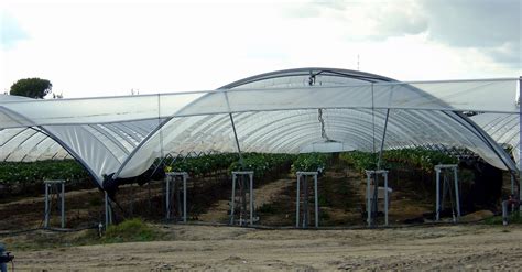 THM Tecnologías de la Horticultura Mediterránea Un invernadero