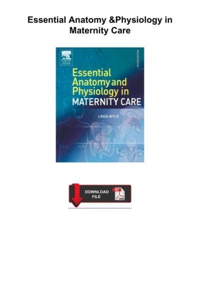 Download⚡️pdf ️ Essential Anatomy And Physiology In Maternity Care