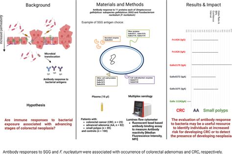 Association Of Antibody Responses To Fusobacterium Nucleatum And