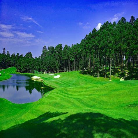 Experience the Hidden Gem of the Arkansas Golf Trail