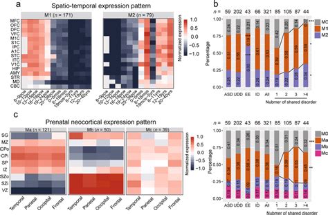 Expression Characteristics Of Candidate Genes In The Human Brain A