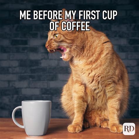 60 Funny Coffee Memes All Java Lovers Will Understand Artofit