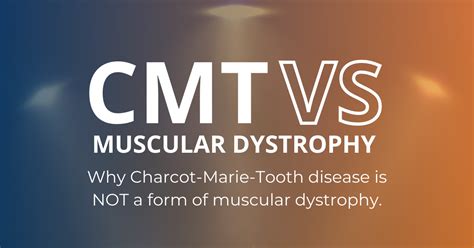 The Differences Between Charcot Marie Tooth Disease And Muscular Dystrophy Md An Overview