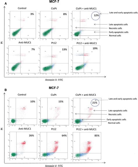 Flow Cytometric Analysis Of Breast Cancer Mcf 7 Cells After 24 A And Download Scientific