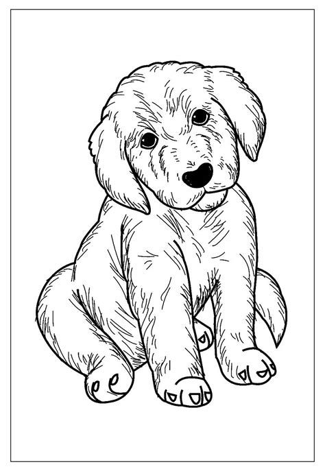 Desenhos De Cachorro Para Colorir E Pintar Tudo Para Colorir