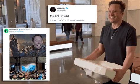 Elon Musks First Tweet After Takeover Drowns In Memes Chief Tells