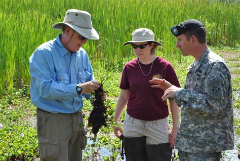 Corps Of Engineers Leads Project To Control Invasive Water Hyacinth In