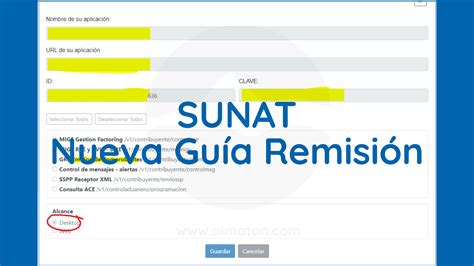 Ejemplo Básico Sobre Las Nuevas Guías De Remisión Sunat Perú — Olmaton