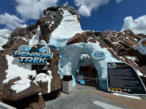 Penguin Trek New Seaworld Orlando Ride Is A Fantastic Addition