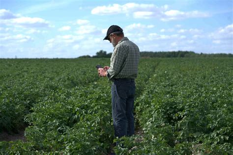 Farm weather forecasts: how do they work?