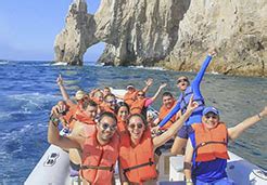 Cabo Adventures Swim With Dolphins Atv Tours Zip Line Tours