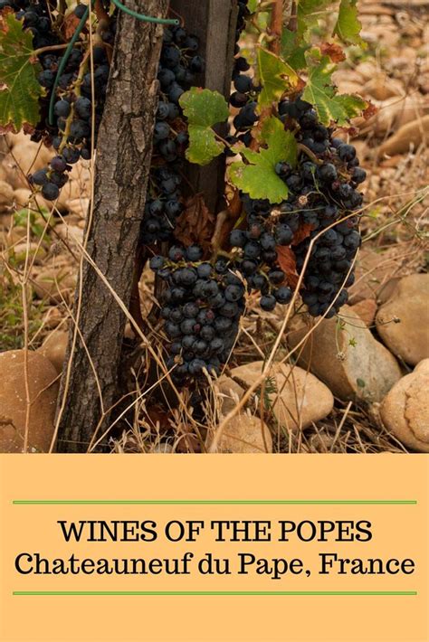 Chateauneuf Du Pape The Wines Of The Popes Getting On Travel