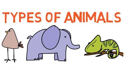 6 Main Types of Animals - Learn More Interesting Facts