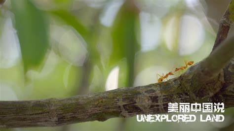 Unexplored Land: Residents of a vibrant coastal zone in S China - CGTN