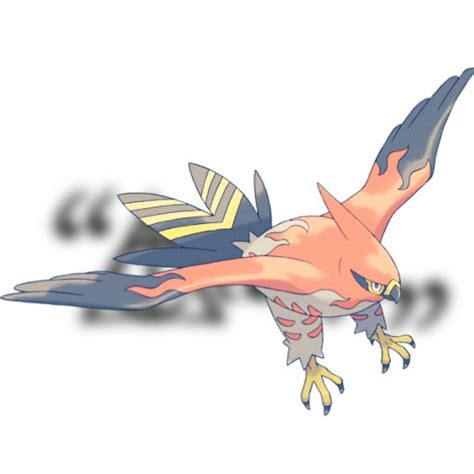 Talonflame Wiki Pokémon Amino