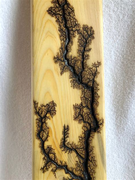 Hardy Fractal Burn Fractal Art High Voltage Wood Burn Etsy