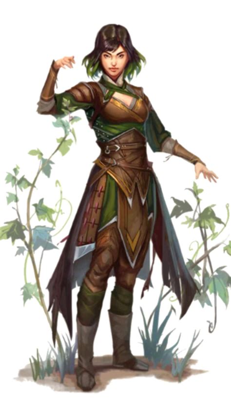 Dandd Female Druid